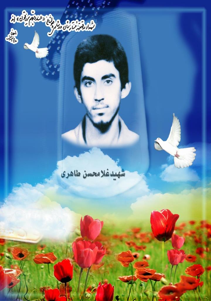 فاقد تصویر